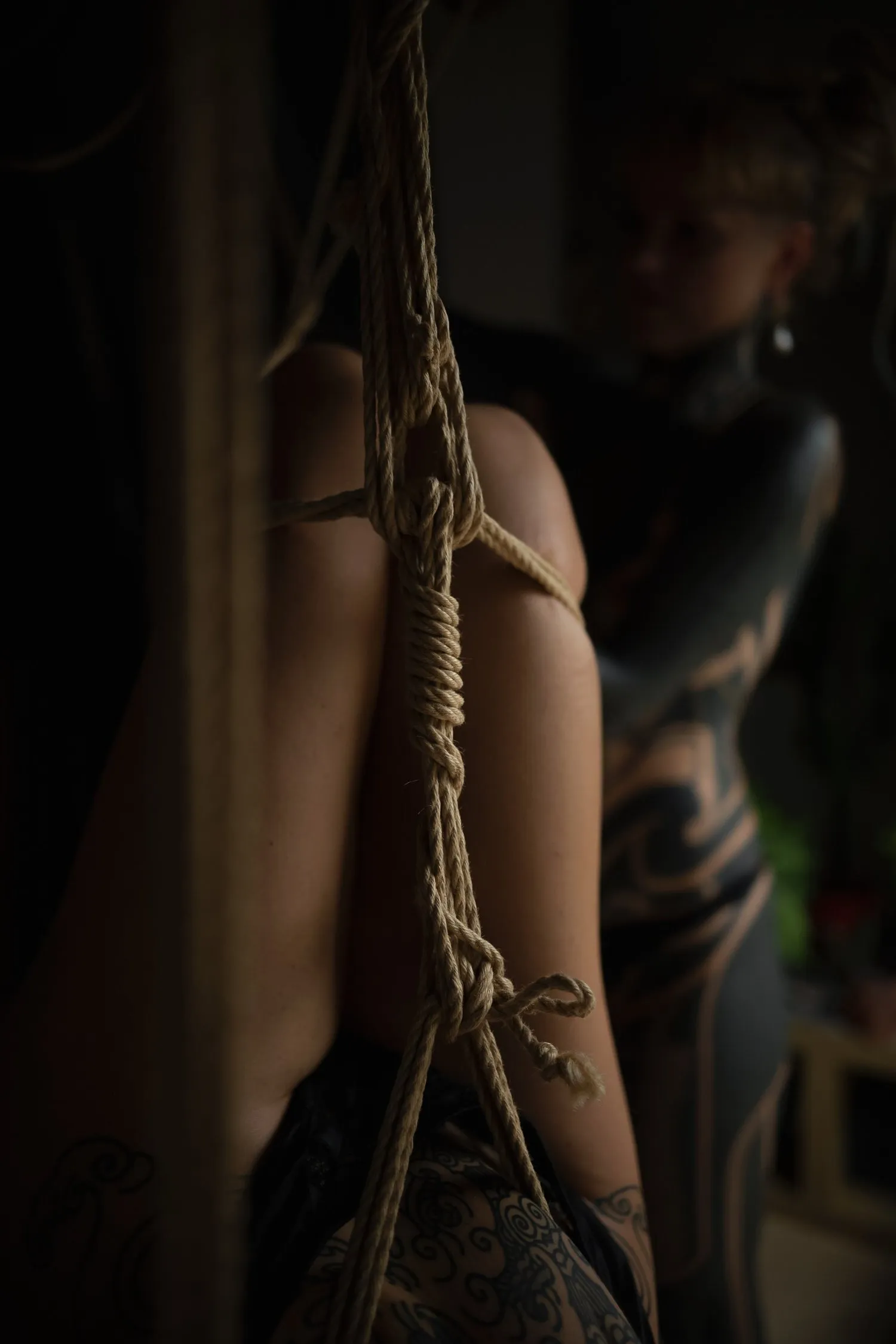 Shibari image 1